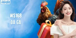 WS168 Đá Gà RR88 - Sảnh Game Uy Tín Số 1 Đông Nam Á 2026